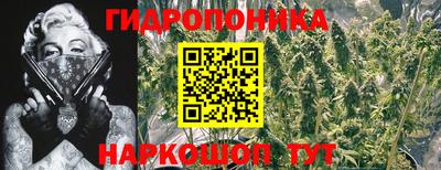 а пвп мука Аша