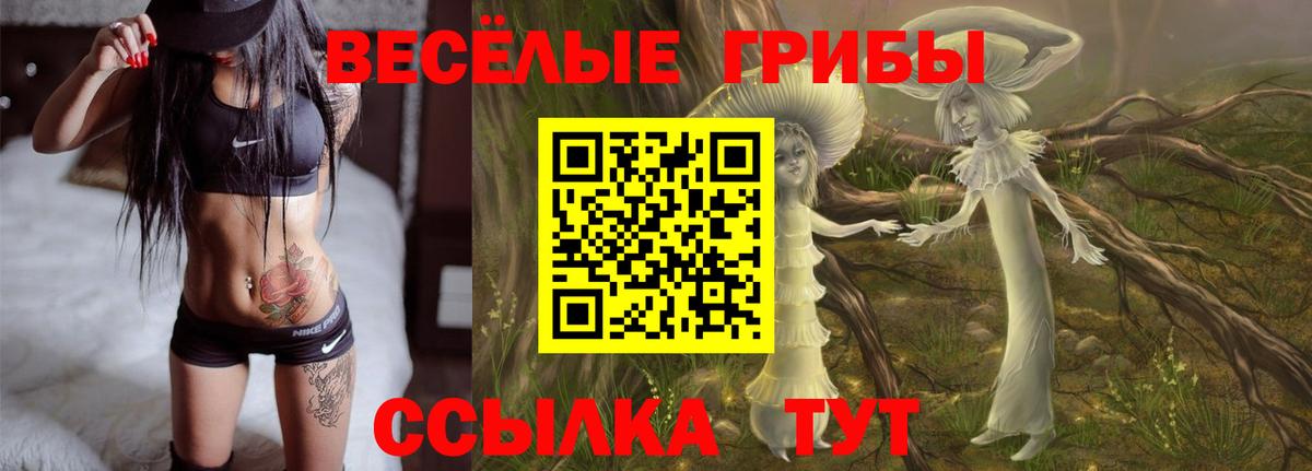 Псилоцибиновые грибы GOLDEN TEACHER  Галлюциногенные грибы мухоморы  Хасавюрт  Вход с VPN 
